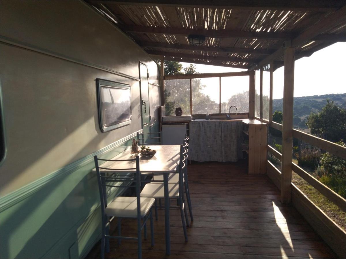 La Cera Farm Camping B&B 산타테레사의갈루라 외부 사진