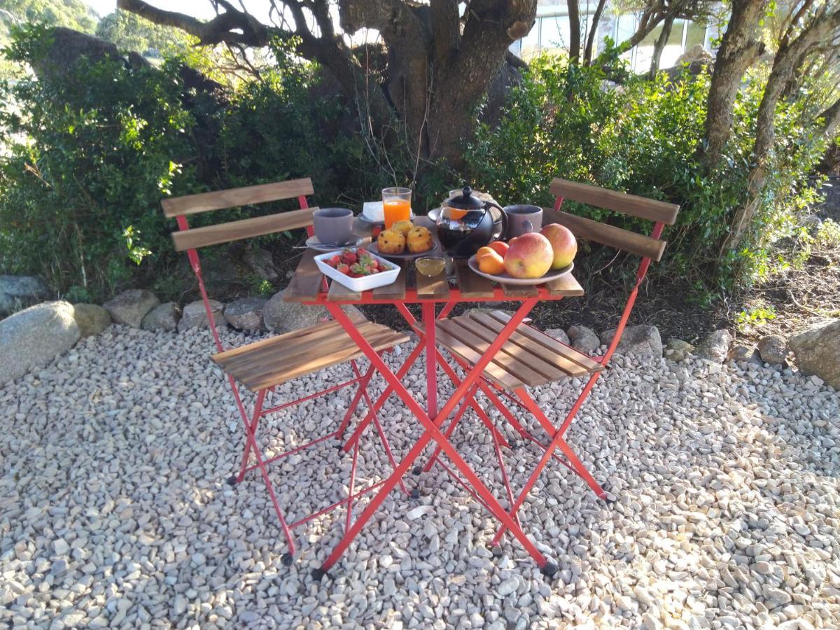 La Cera Farm Camping B&B 산타테레사의갈루라 외부 사진