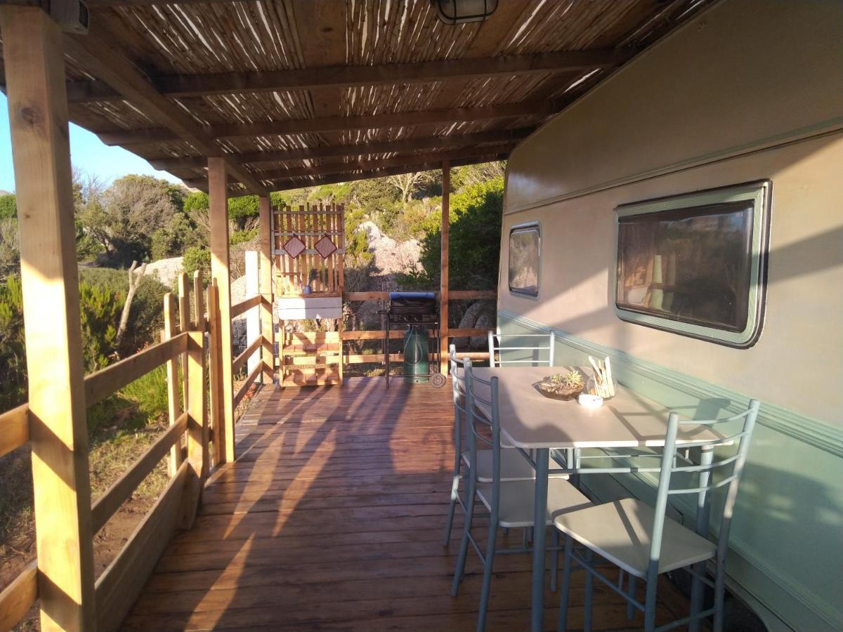La Cera Farm Camping B&B 산타테레사의갈루라 외부 사진