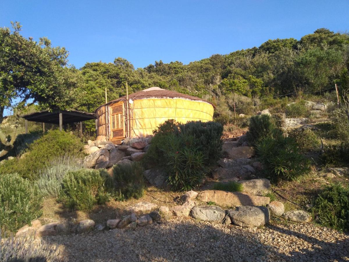 La Cera Farm Camping B&B 산타테레사의갈루라 외부 사진
