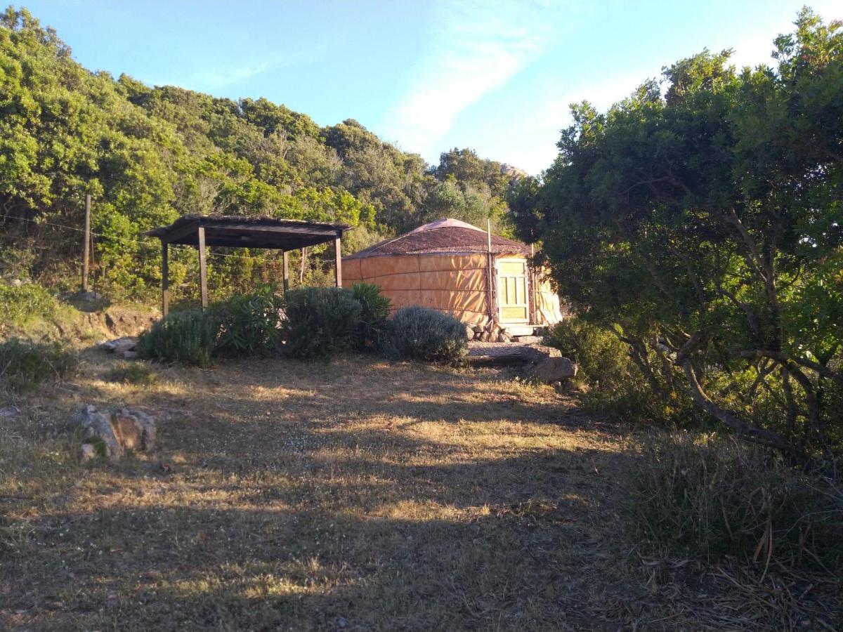 La Cera Farm Camping B&B 산타테레사의갈루라 외부 사진