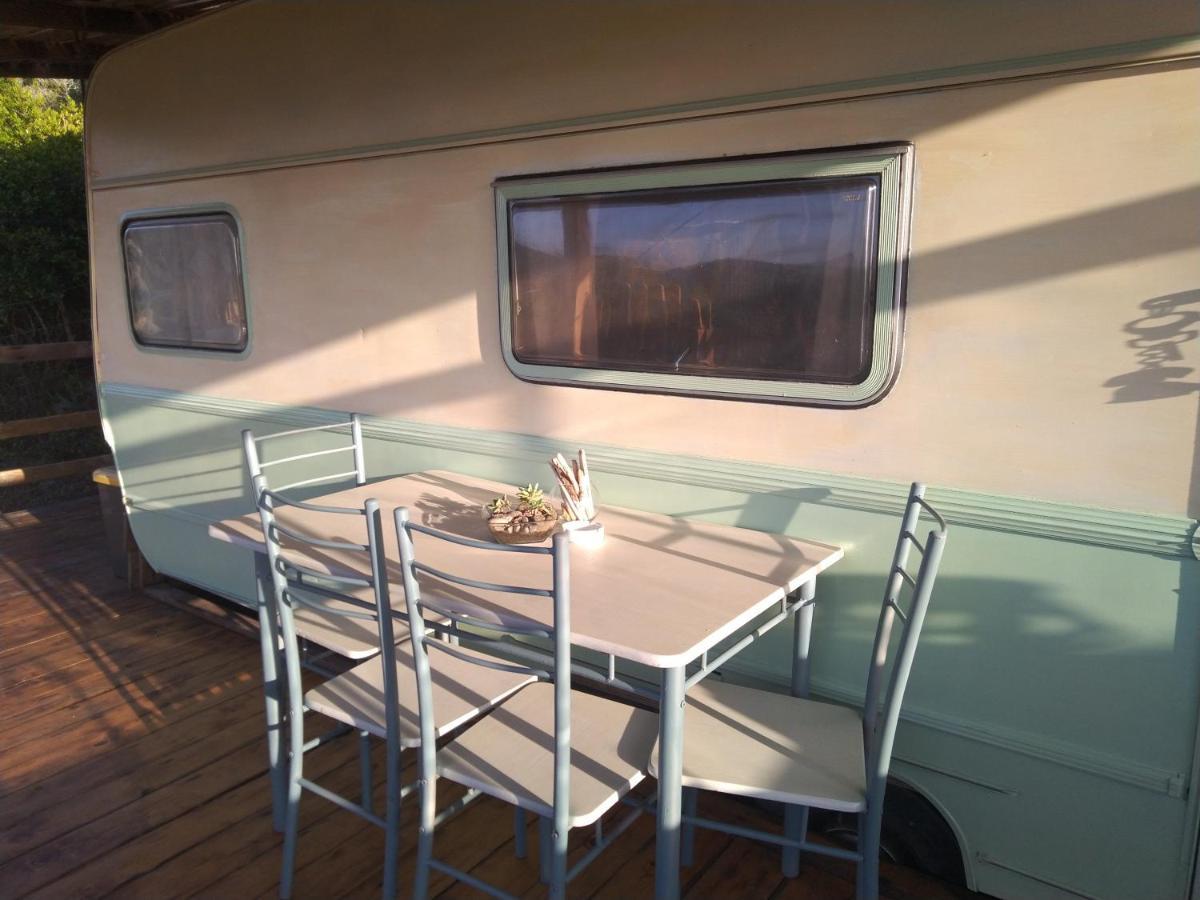 La Cera Farm Camping B&B 산타테레사의갈루라 외부 사진