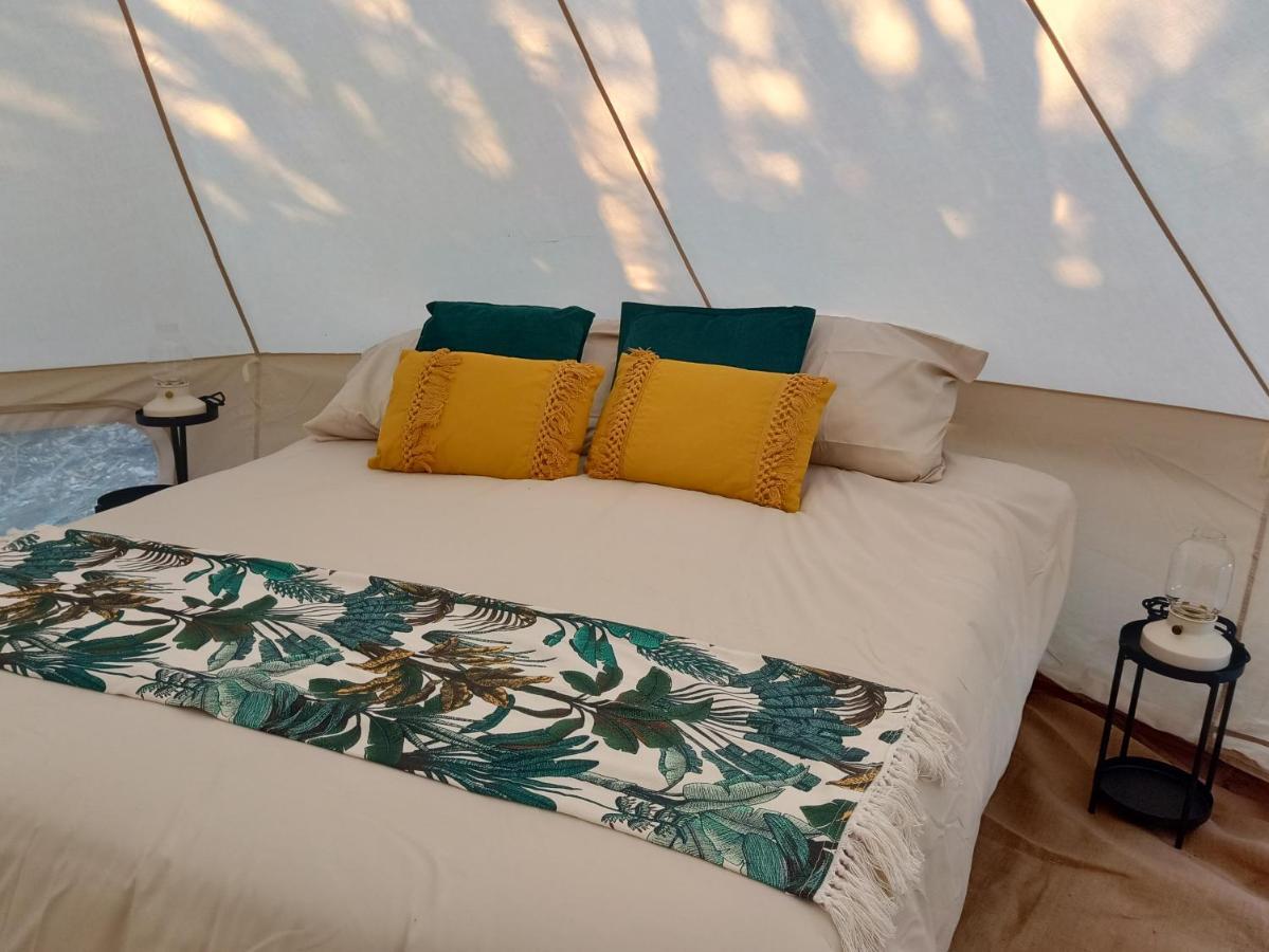 La Cera Farm Camping B&B 산타테레사의갈루라 외부 사진