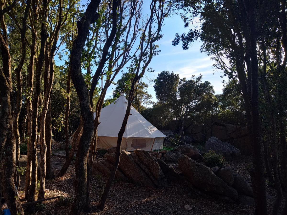 La Cera Farm Camping B&B 산타테레사의갈루라 외부 사진