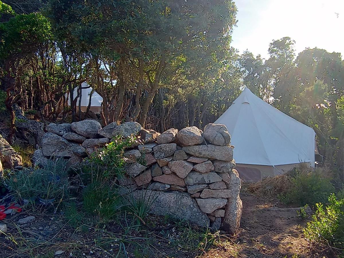 La Cera Farm Camping B&B 산타테레사의갈루라 외부 사진