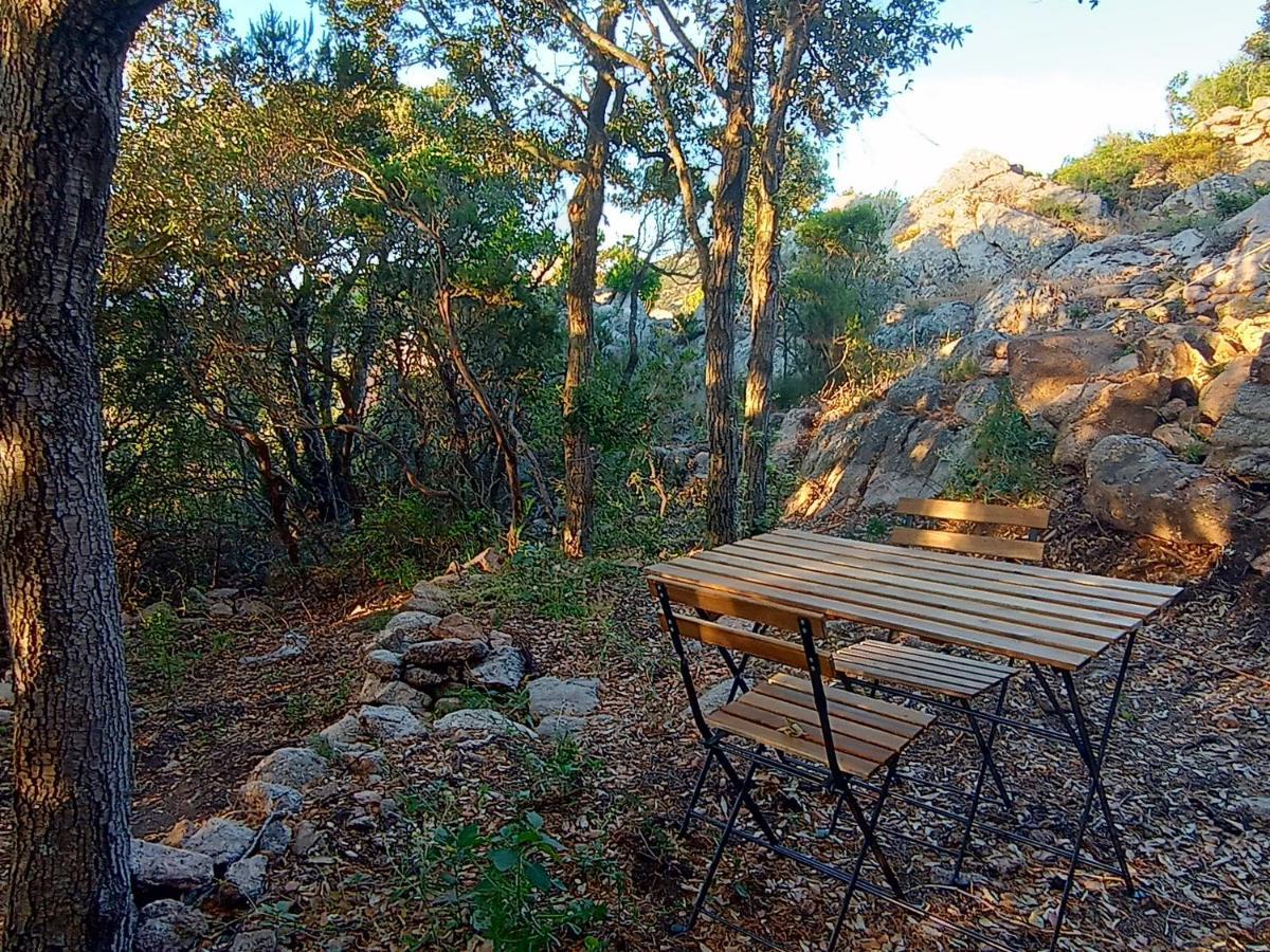 La Cera Farm Camping B&B 산타테레사의갈루라 외부 사진