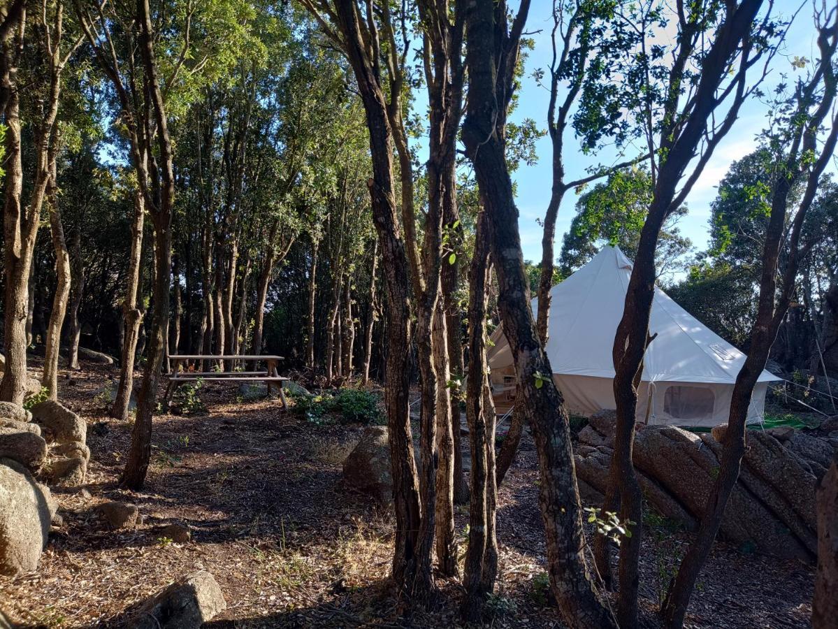 La Cera Farm Camping B&B 산타테레사의갈루라 외부 사진