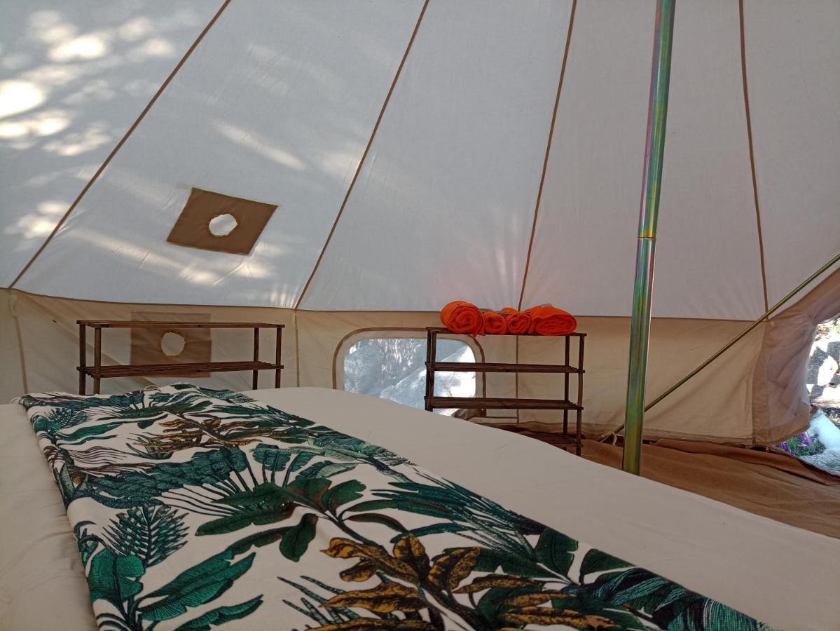 La Cera Farm Camping B&B 산타테레사의갈루라 외부 사진