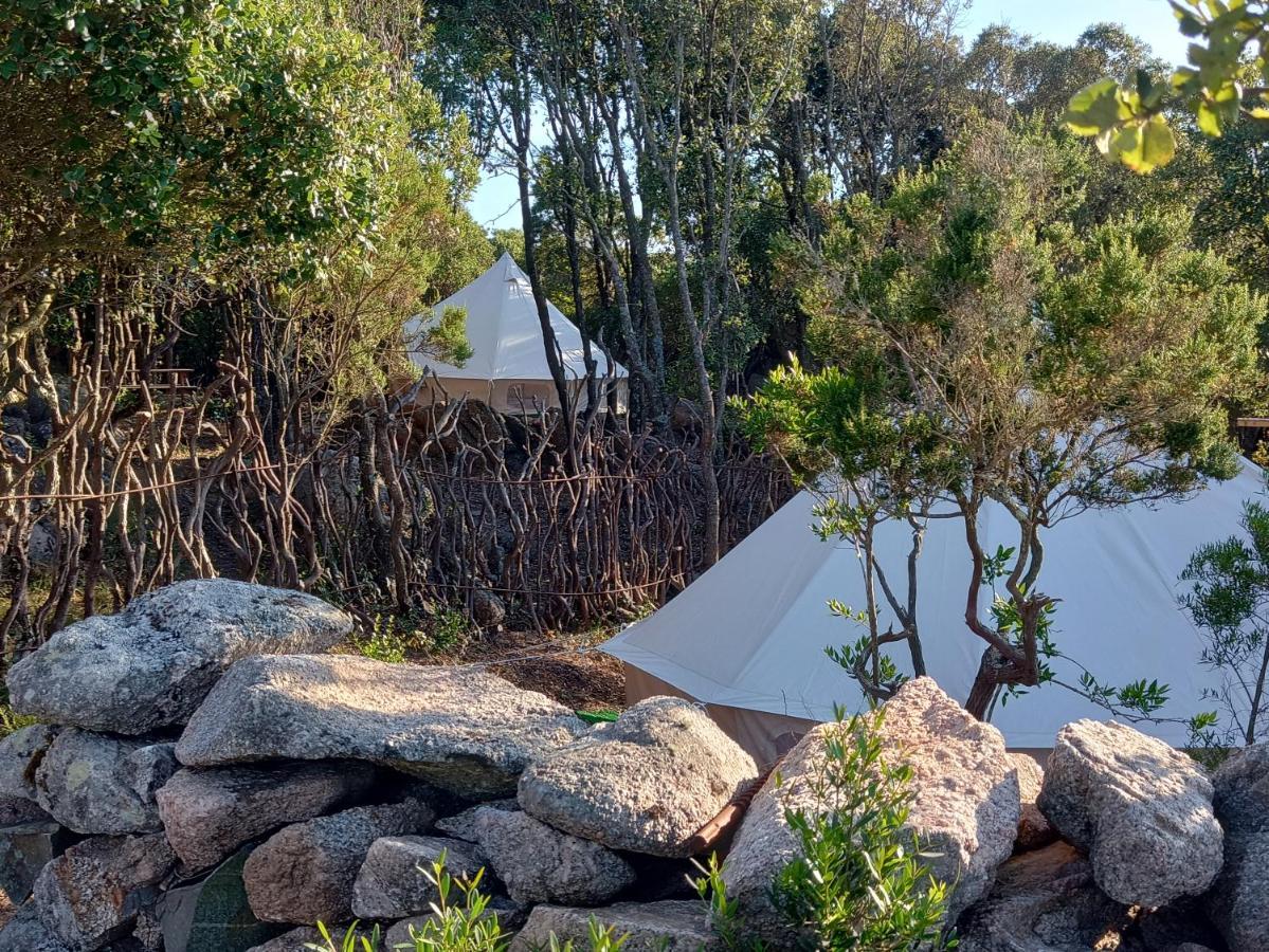 La Cera Farm Camping B&B 산타테레사의갈루라 외부 사진