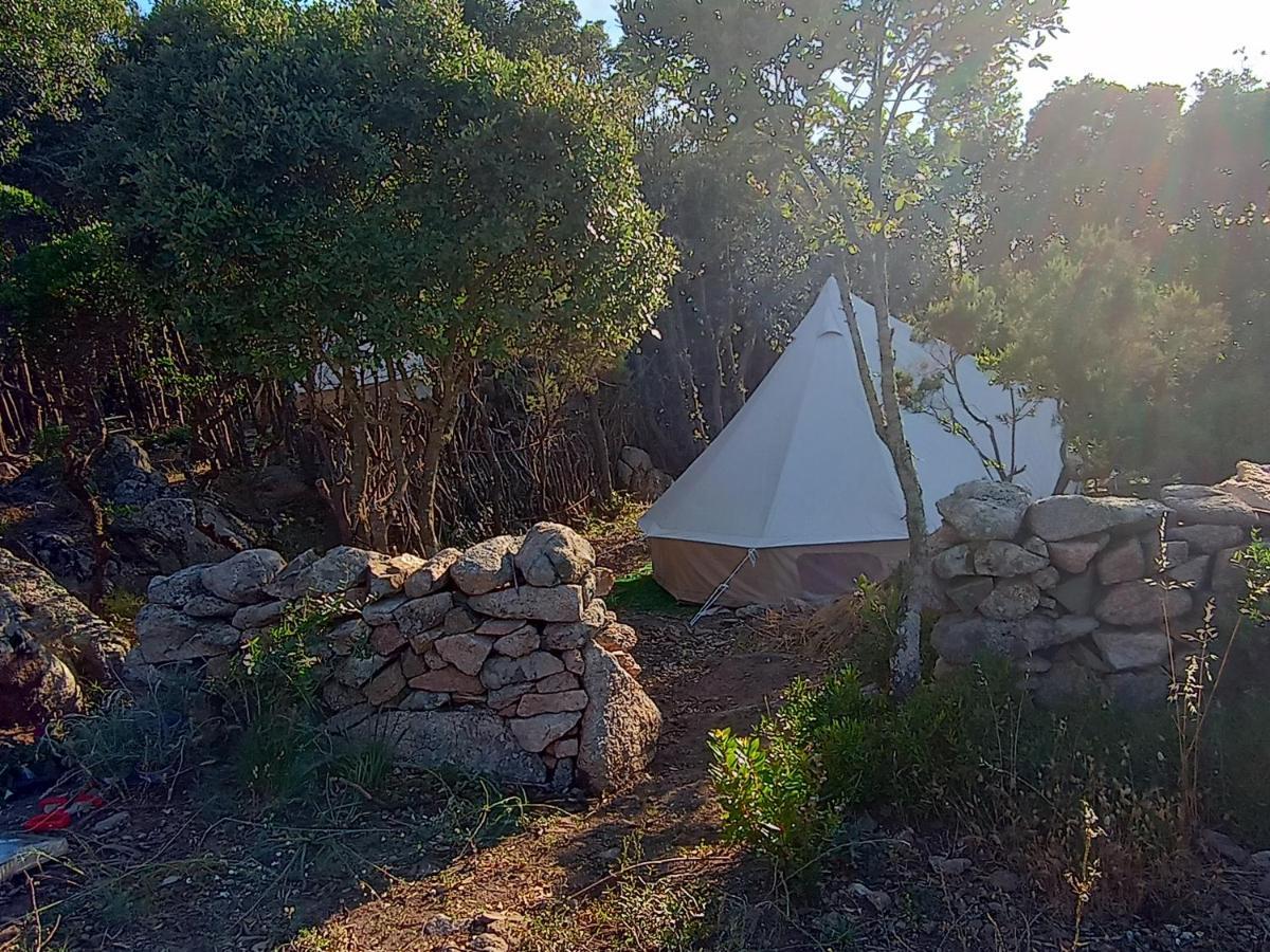 La Cera Farm Camping B&B 산타테레사의갈루라 외부 사진