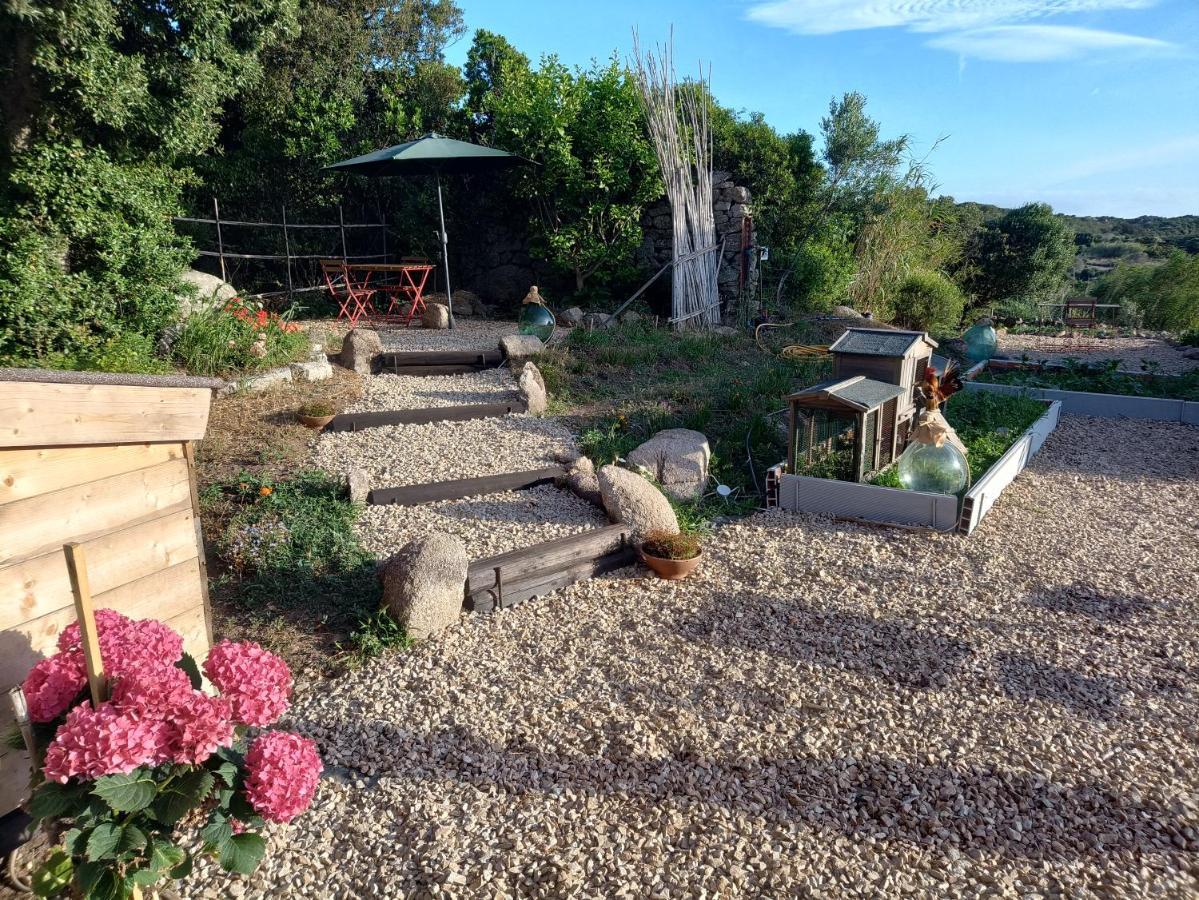 La Cera Farm Camping B&B 산타테레사의갈루라 외부 사진