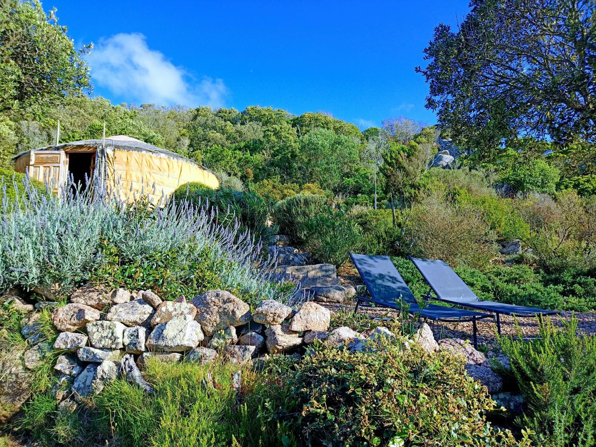 La Cera Farm Camping B&B 산타테레사의갈루라 외부 사진