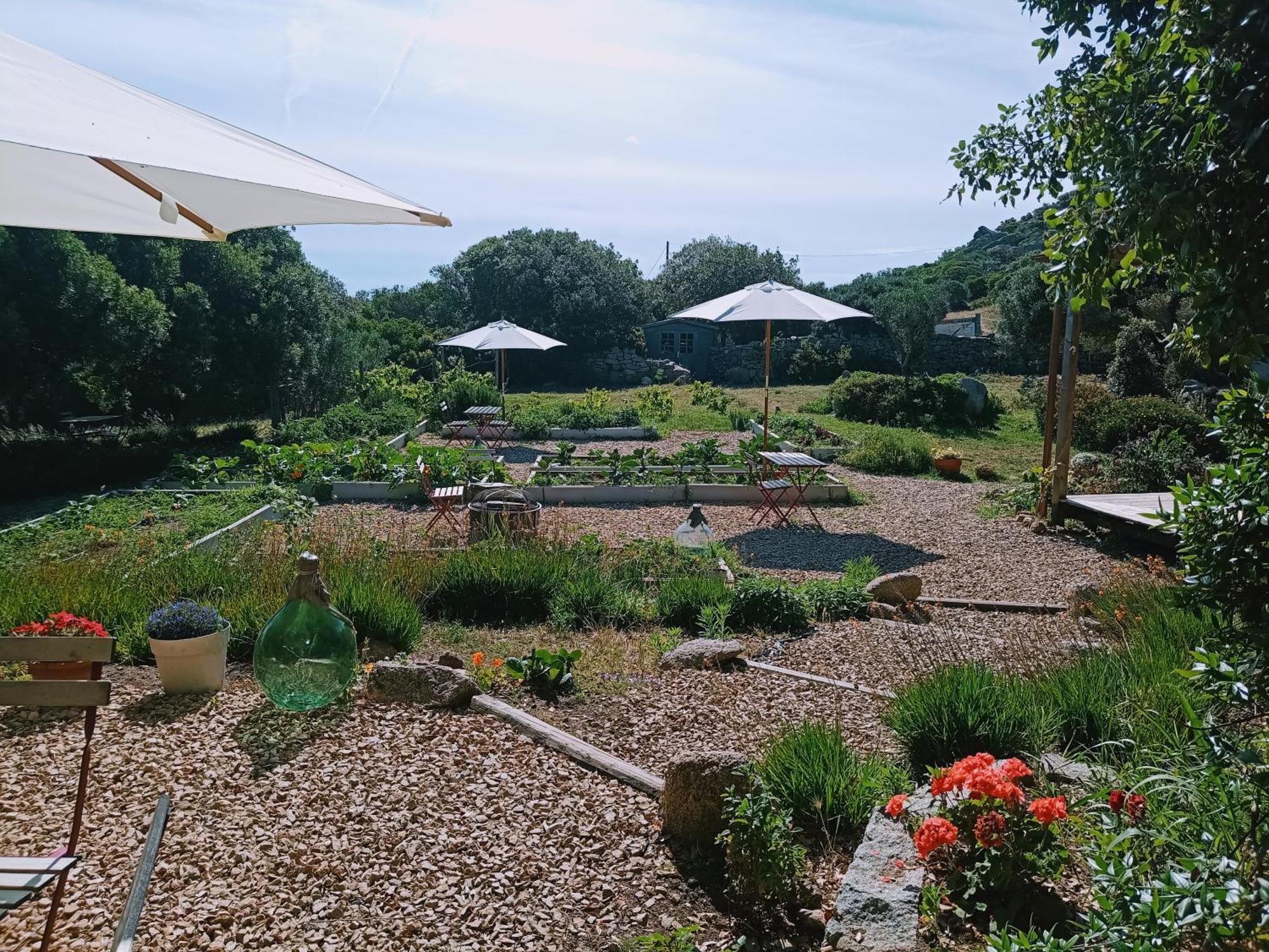 La Cera Farm Camping B&B 산타테레사의갈루라 외부 사진