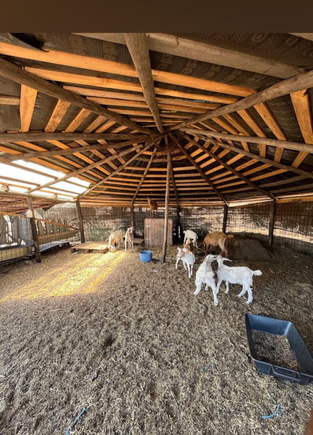 La Cera Farm Camping B&B 산타테레사의갈루라 외부 사진