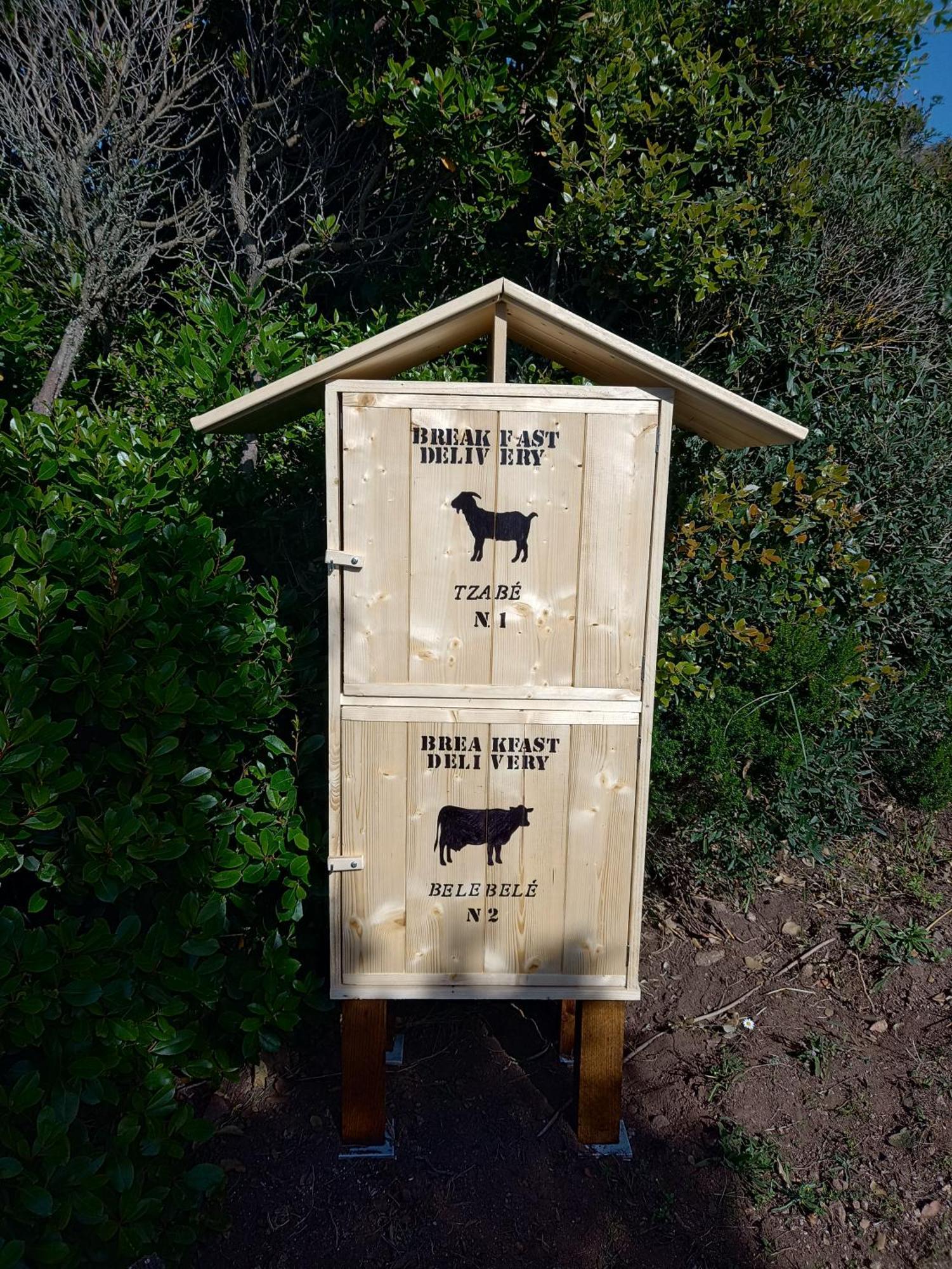 La Cera Farm Camping B&B 산타테레사의갈루라 외부 사진